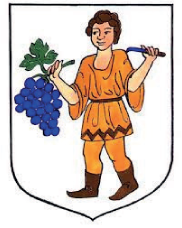 Partner SCRUB Cisteni podlah